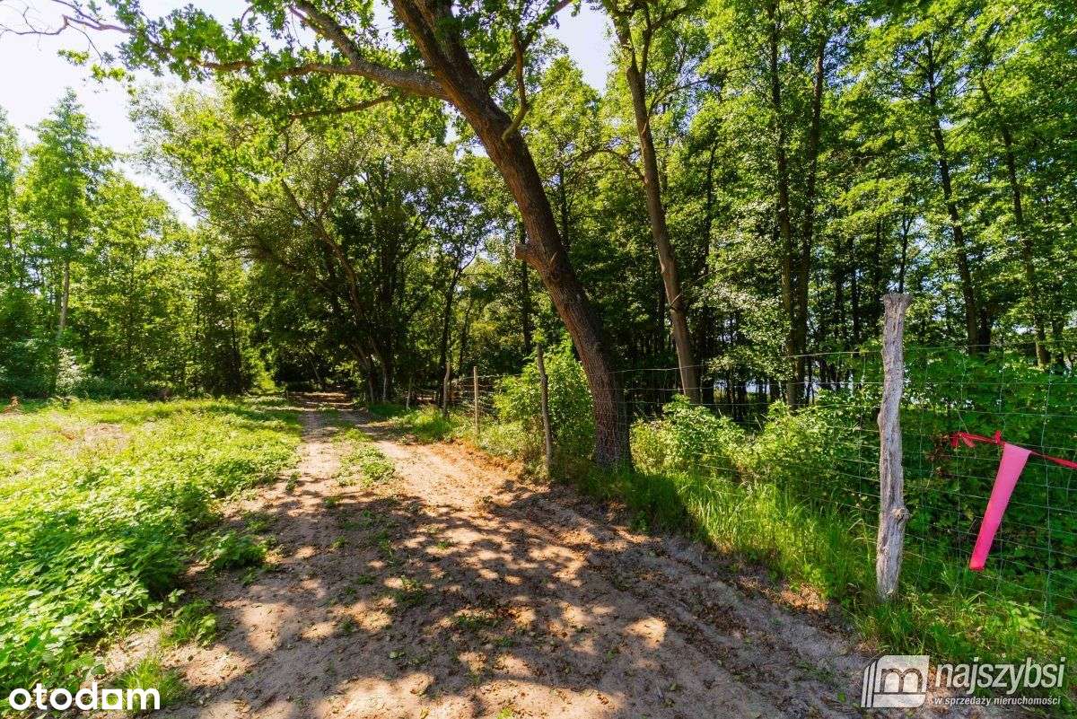 Domysłów -działka z linią brzegową 53m z Wz - Pełny obrazek: 5/17