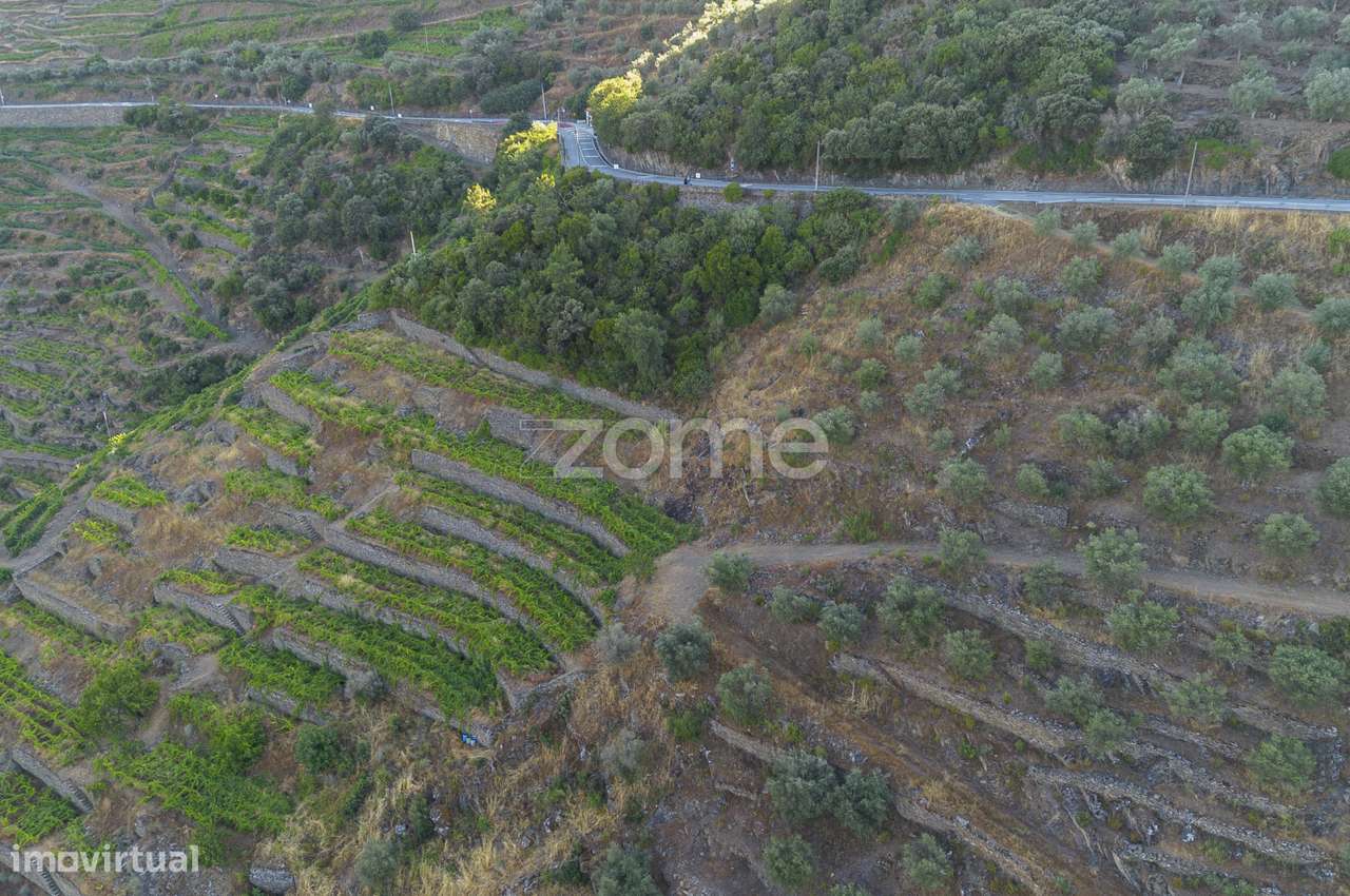 Terreno Rústico, S. Cristovão do Douro - Grande imagem: 3/15