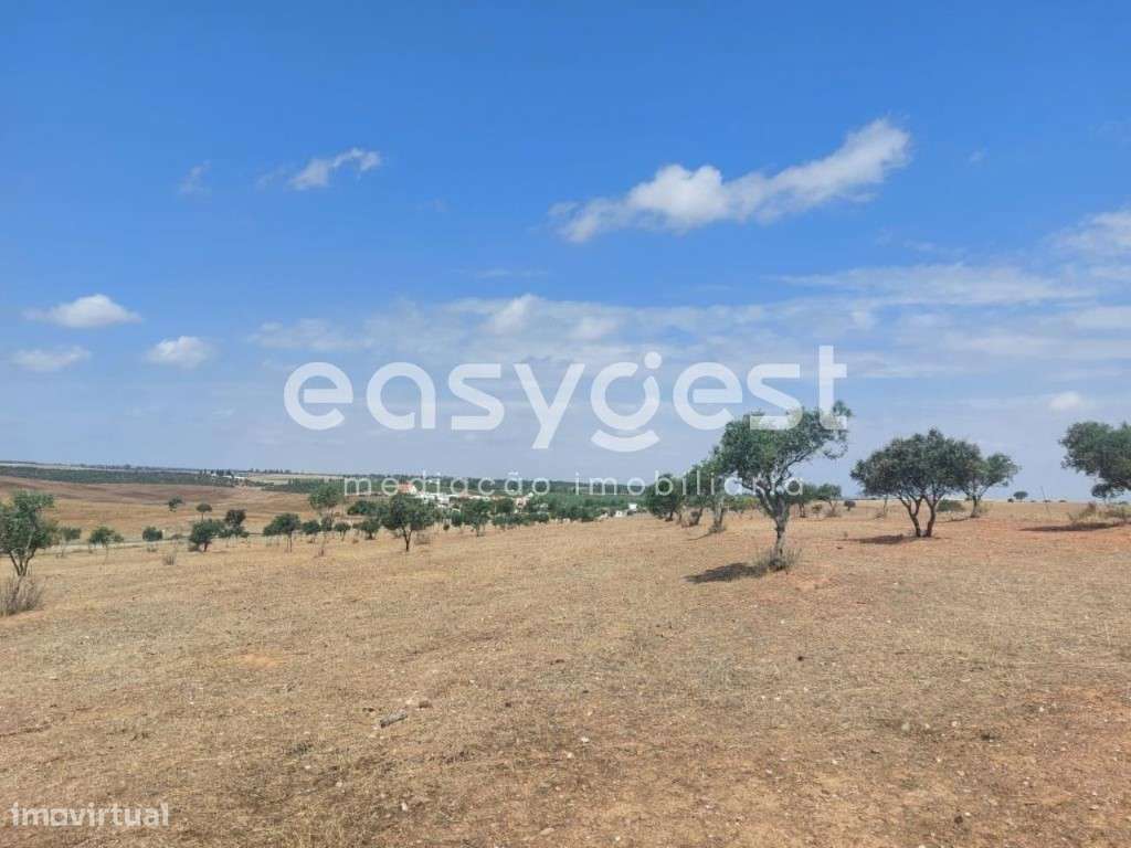 Terreno Rústico com 34.750m2 localizado na freguesia de Alcaria Ruiva - Grande imagem: 3/20