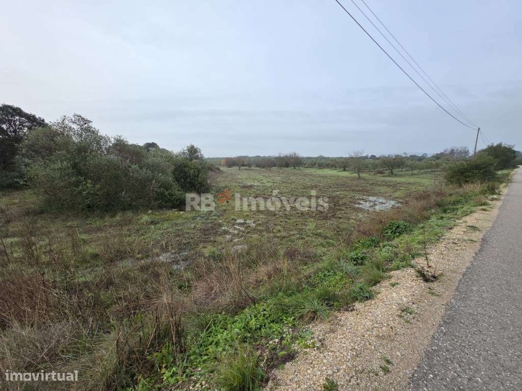 Terreno rústico com 4.080m2 - Soudos, Torres Novas - Grande imagem: 3/7