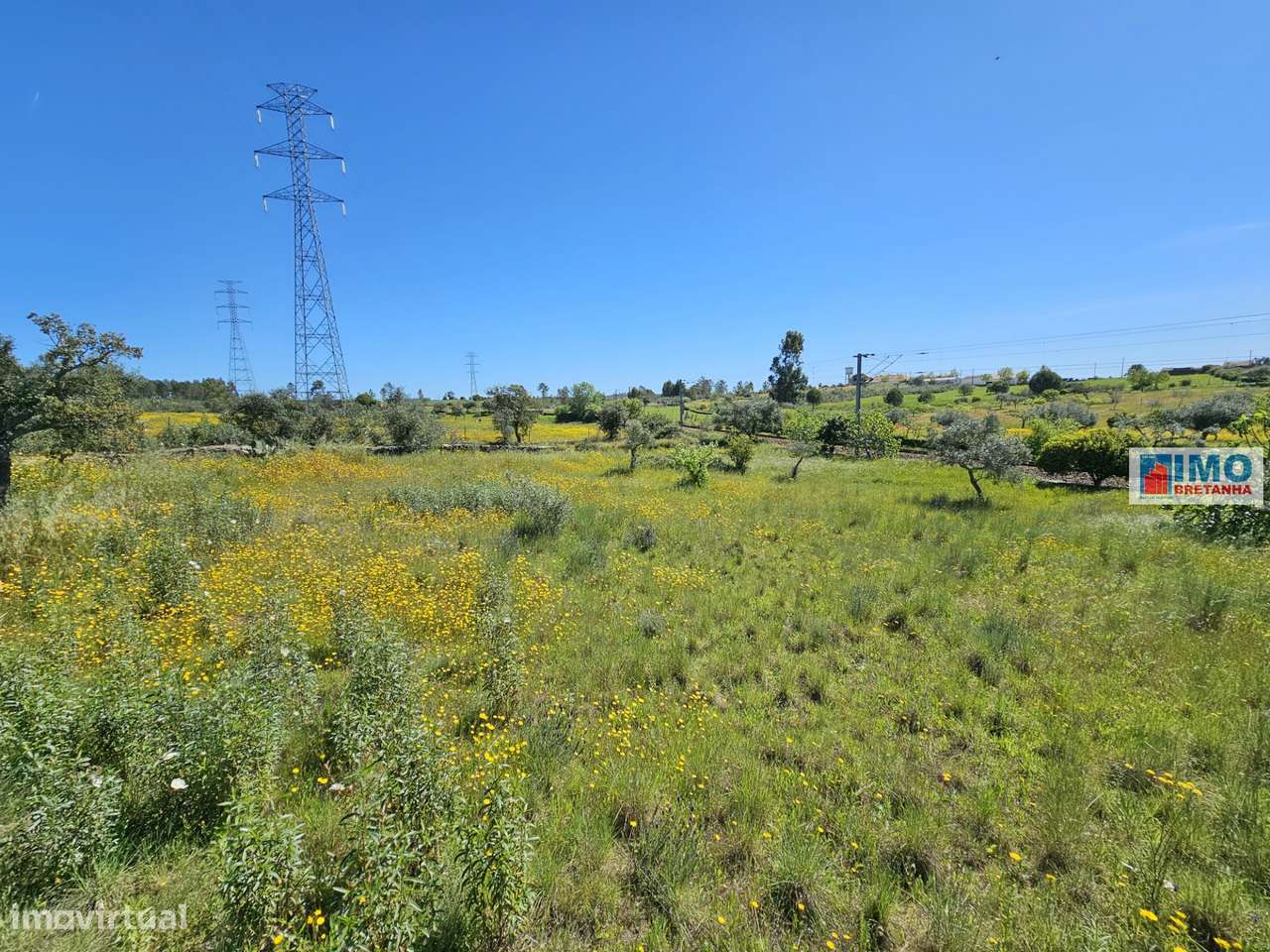 Terreno em Amarelos - 15 min Castelo Branco - Grande imagem: 4/15