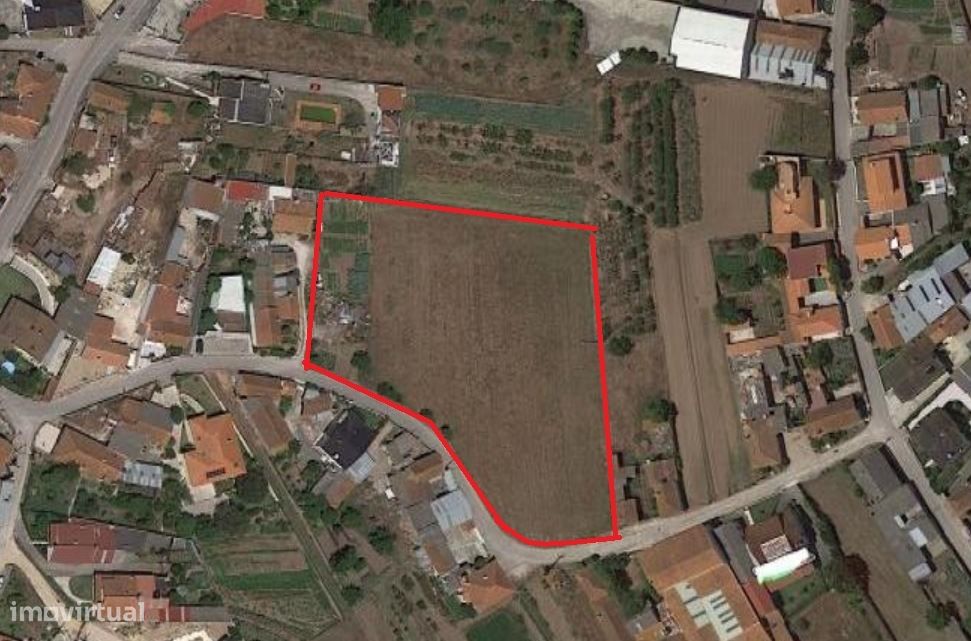 Terreno plano para construção / 7 900 m2 / Amor / Leiria