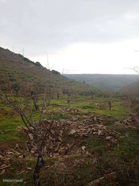 Terreno de 0,460 hectares - Grande imagem: 5/5