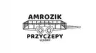 Amrozik-Przyczepy.pl