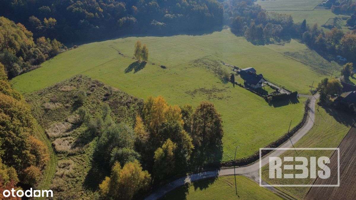 Działka inwestycyjna Podolany 1,32 ha - Pełny obrazek: 4/10