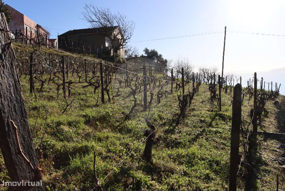 Terreno  para venda - Grande imagem: 5/7