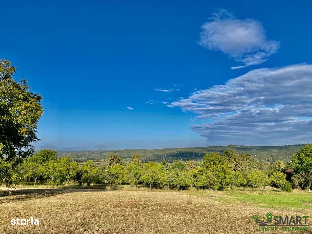 Teren 10 Ari Șișești Zona Deosebita - Imagine principală: 3/6