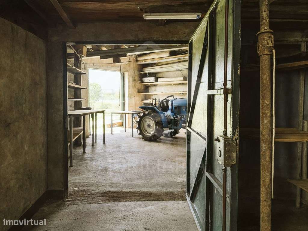 Terreno em Benavente-9