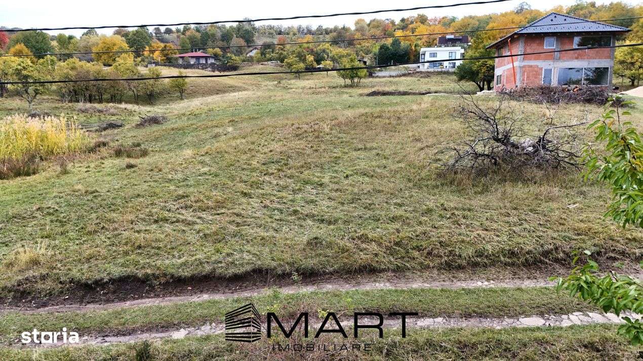 Teren intravilan 1250mp  cu PUZ in Cisnadioara - Imagine principală: 5/6