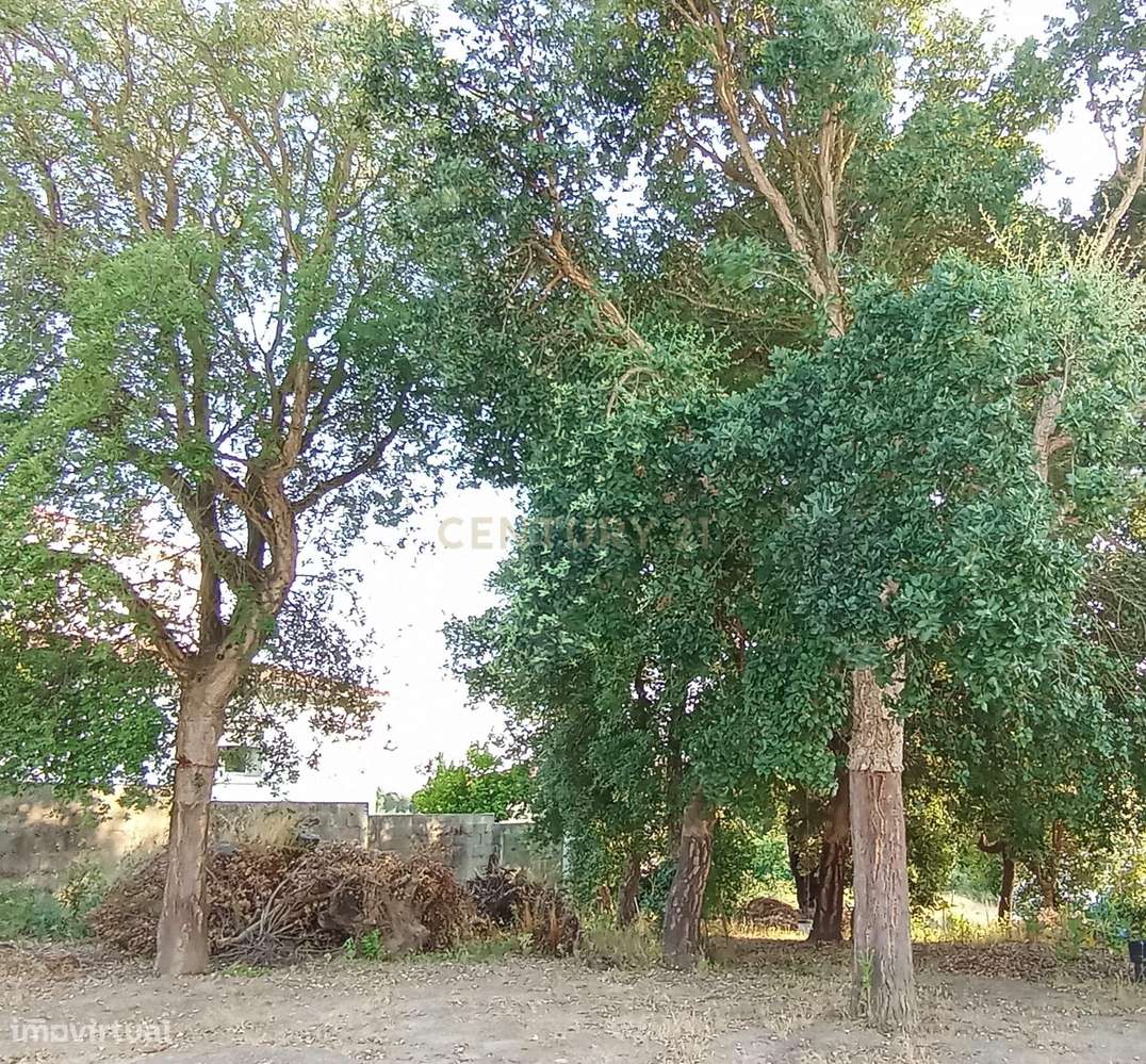 Terreno Urbano para Construção – Próximo do Mosteiro da Batalha - Grande imagem: 3/4