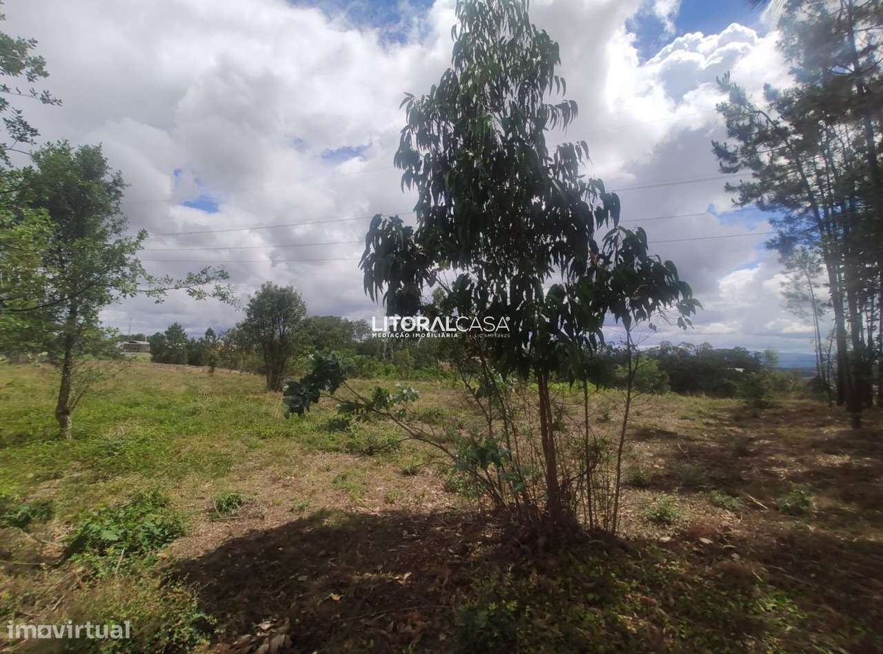 Terreno para construção de Armazéns | Moradias | Águeda - Grande imagem: 4/10