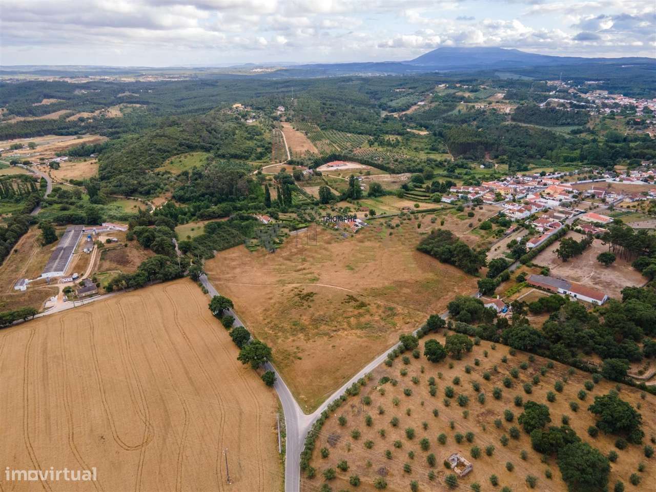 Terreno 32000m2 Asseiceira, Rio Maior - Grande imagem: 5/7