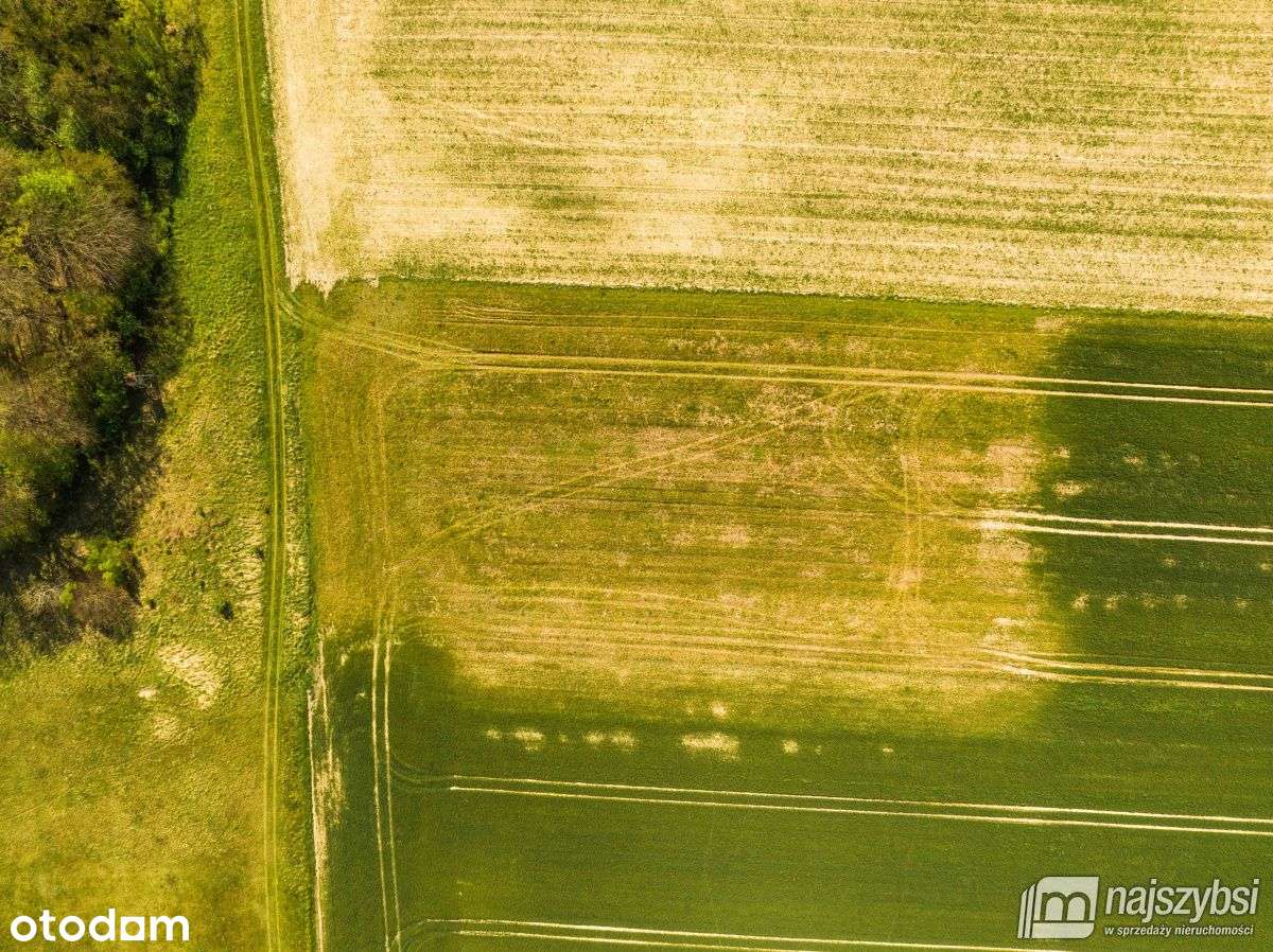 Kartlewo - działka o powierzchni 3270 m2 - Pełny obrazek: 5/16