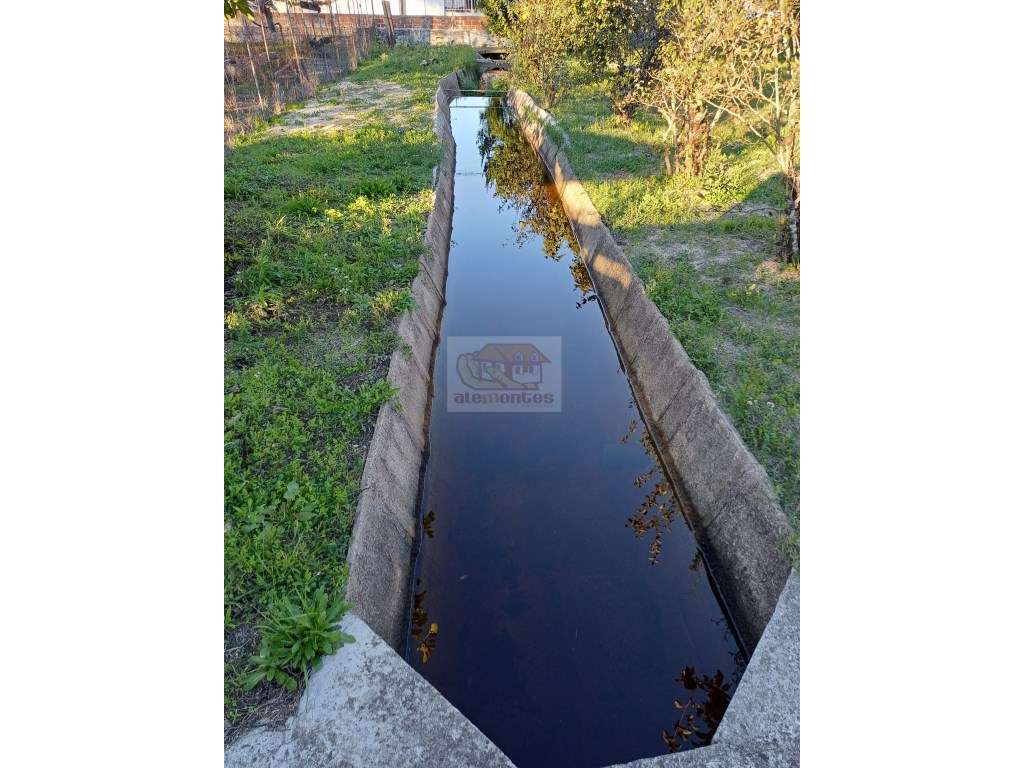 Excelente oportunidade - Quinta com 3 habitações em Grândola-26