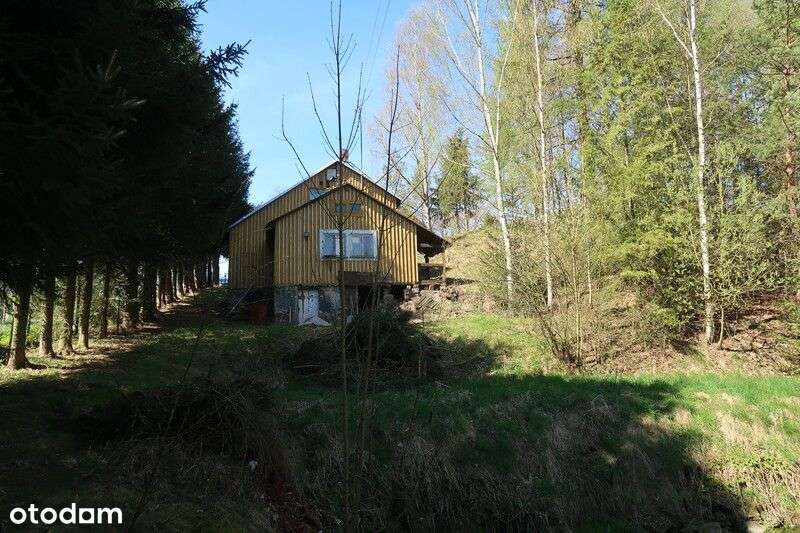 Janowice Wlk. Mały dom 3 pok. 65 m2-13