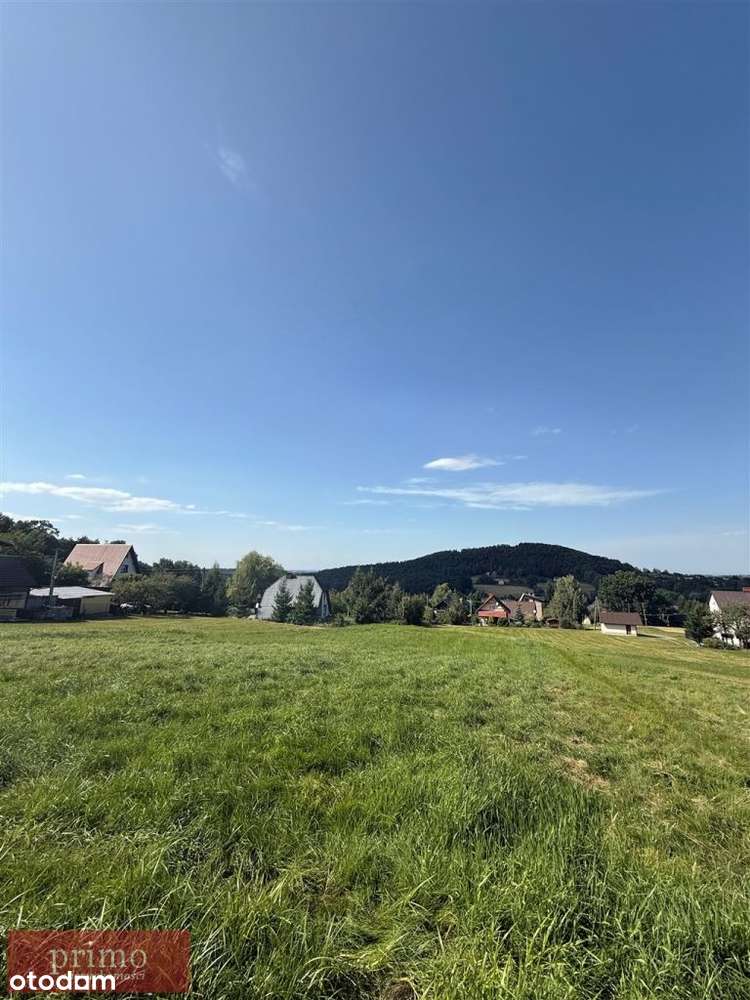 Działka, 2 580 m², Górki Wielkie - Pełny obrazek: 5/10