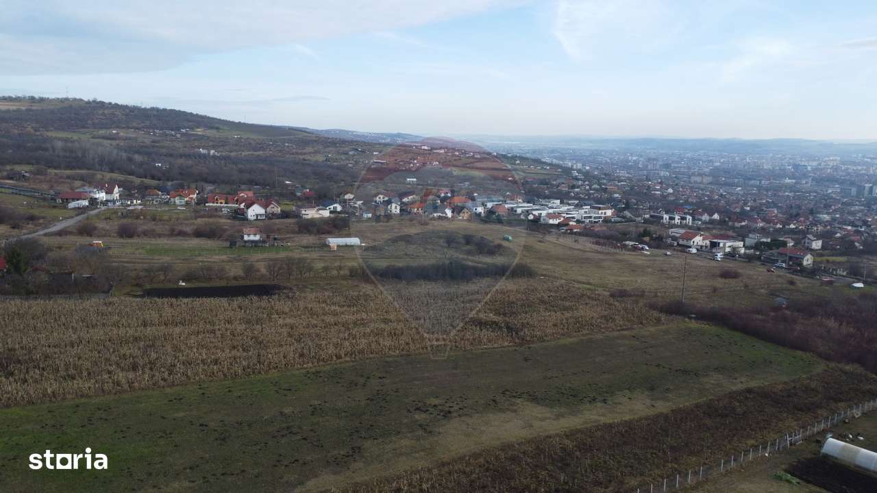 Teren 19.375 mp Dâmbu Rotund. Potențial rezidențial. Extravilan-10