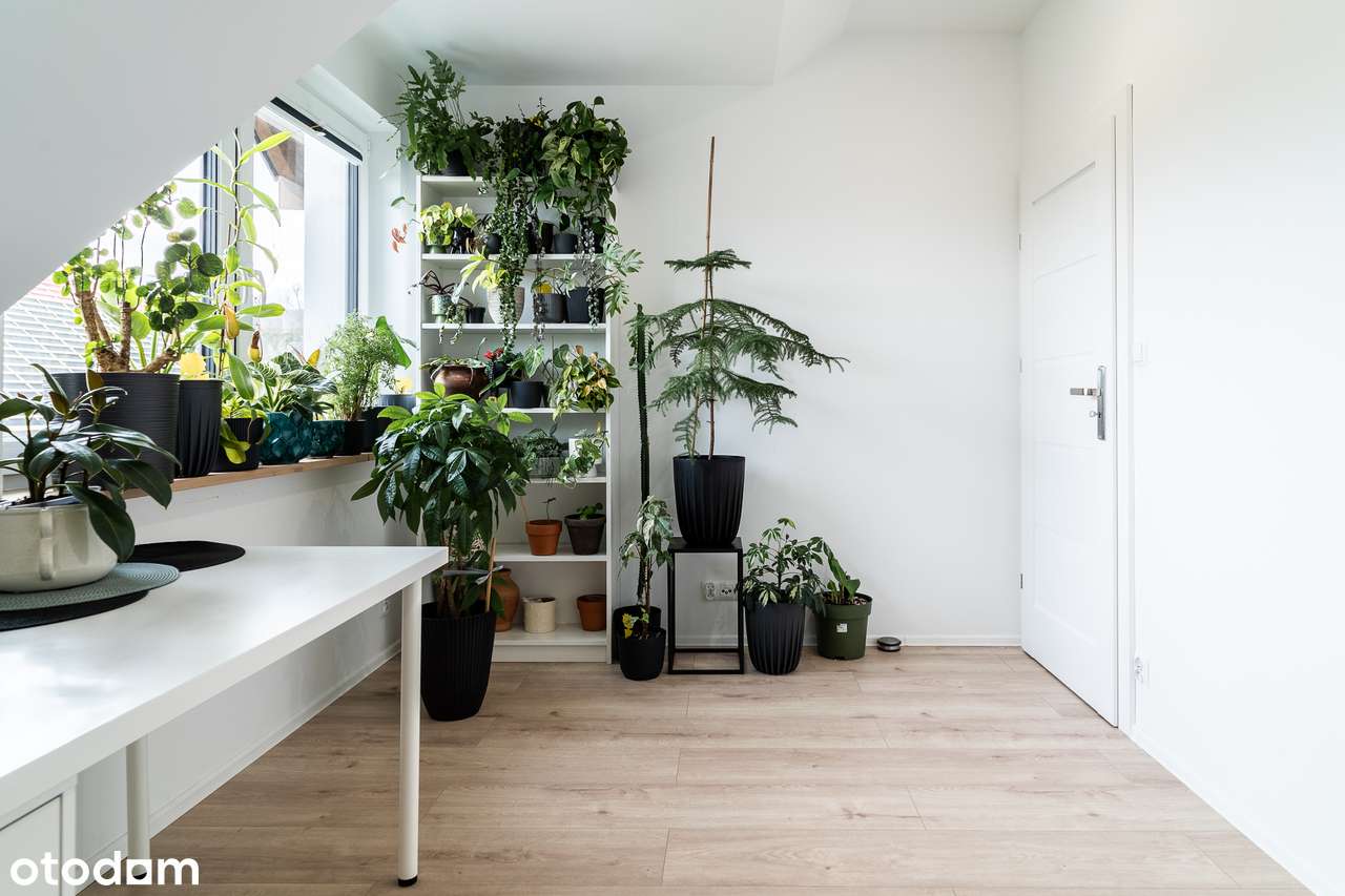 Nowoczesny mały dom 3 pokoje z ogrodem w wielkim stylu !-8