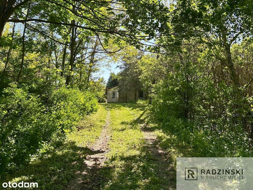 Dom z 31 a działką Myślibórz - Wierzbnica - Pełny obrazek: 4/5