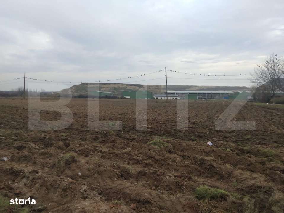 Teren intravilan de 13.000 mp, zona Parcul Tineretului - Imagine principală: 2/2