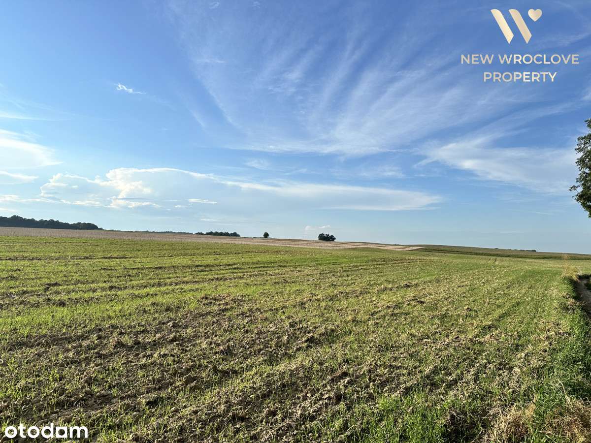 Działka rolno-budowlana, Skała, negocjacje - Pełny obrazek: 2/3