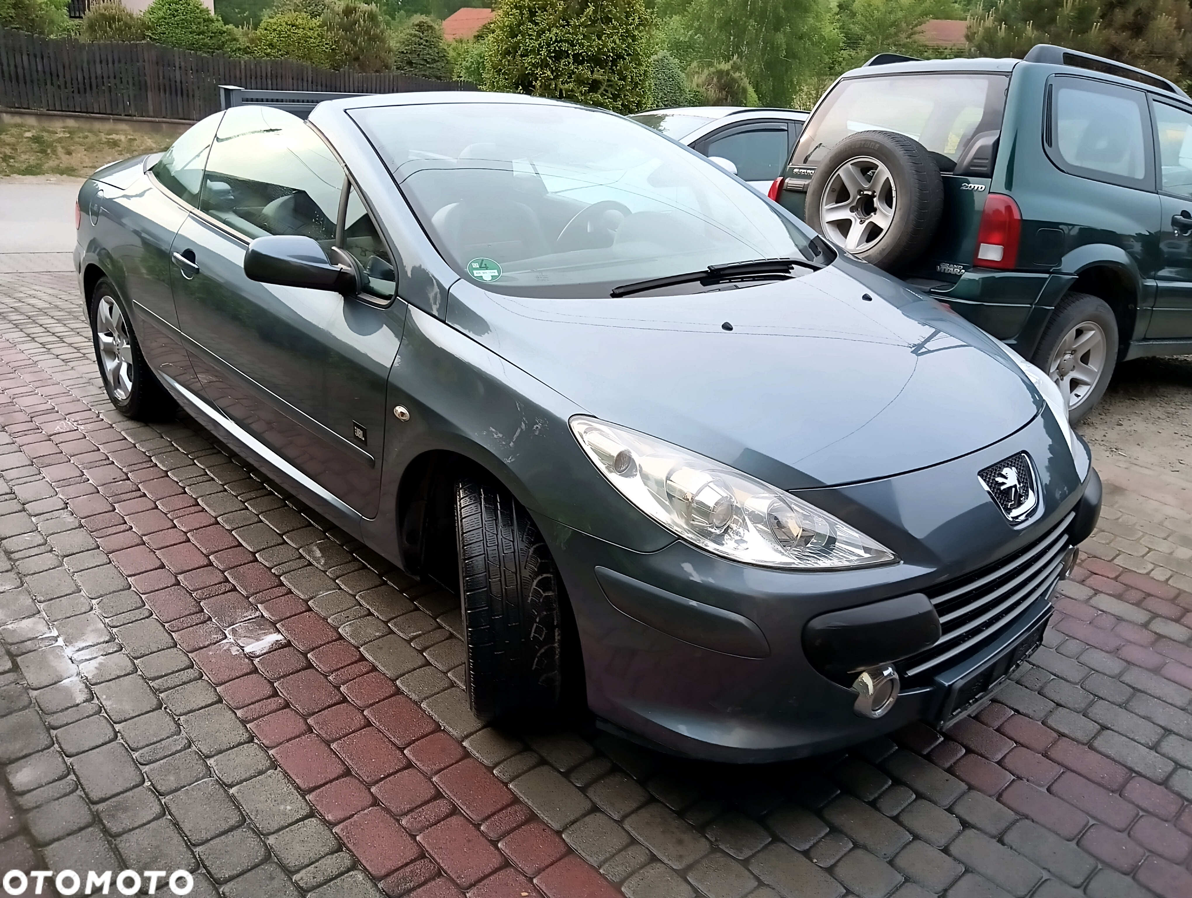 Peugeot 307 CC 110 JBL - 18