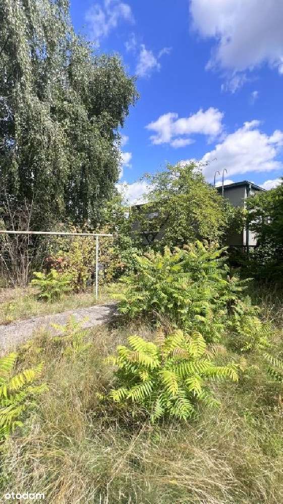 Wrzosy blisko lasu duża działka z domem do remontu - Pełny obrazek: 4/12