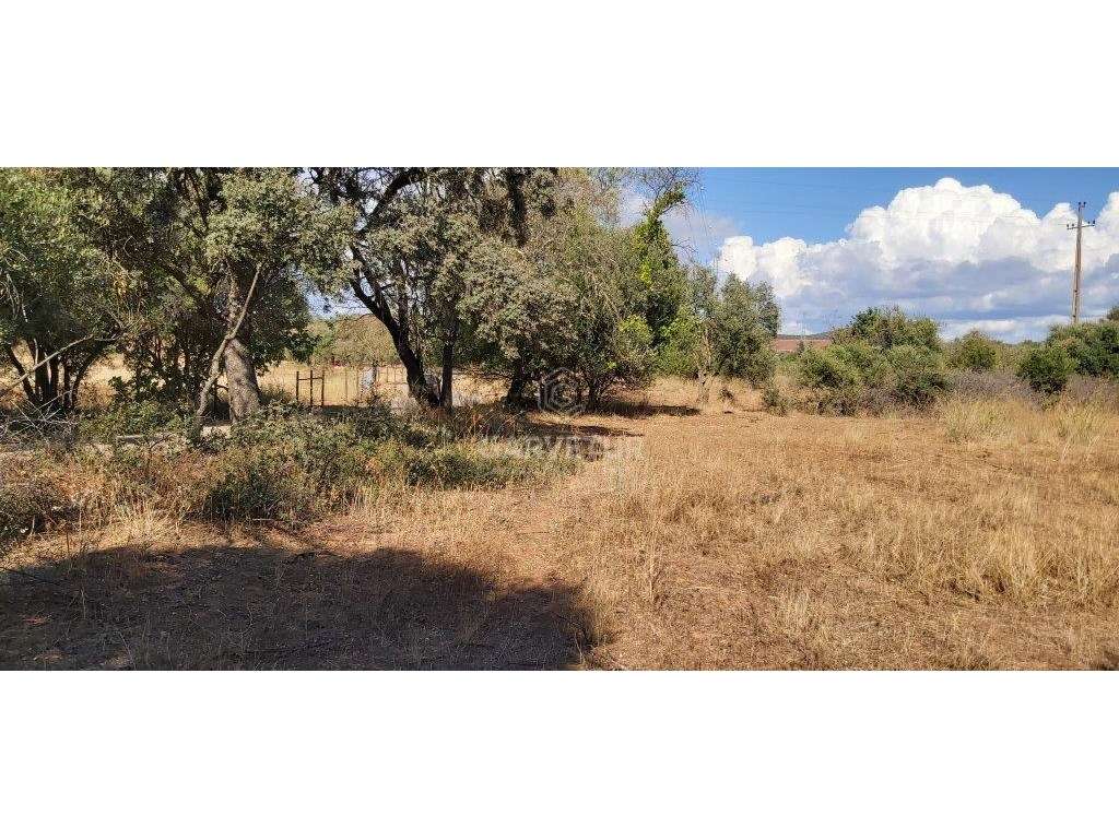 Terreno rústico, em zona agrícola, Porto dos Pires, Paderne, Albufe... - Grande imagem: 5/20