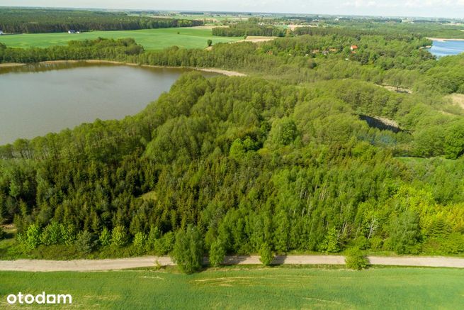 Działka z lasem przy linii brzegowej jeziora-10