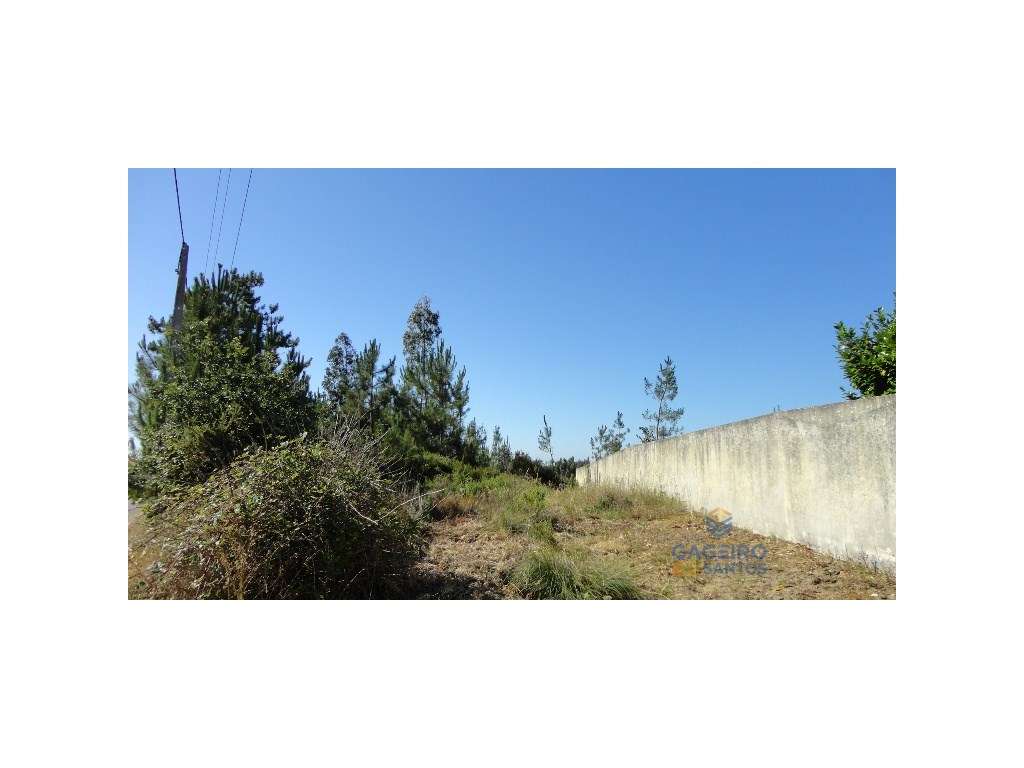 Terreno Venda Caldas da Rainha - Grande imagem: 4/9