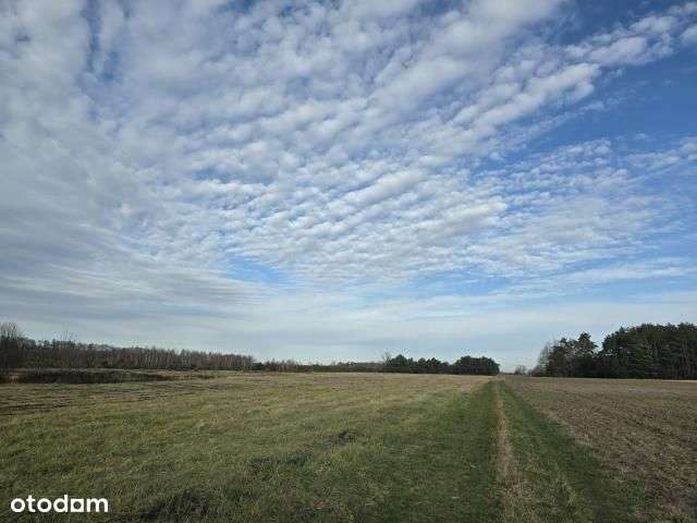 Sprzedaż 4 działek po 3000 m2-0