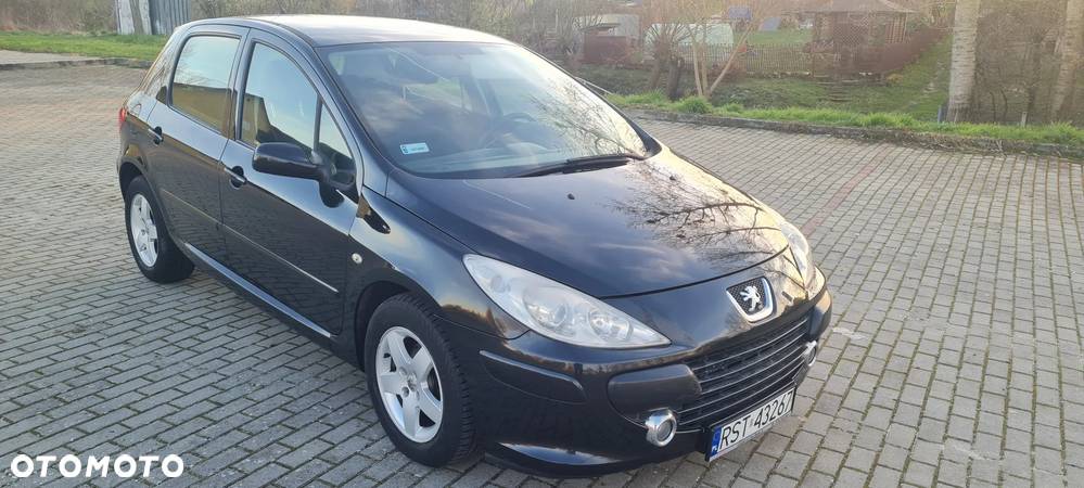 Peugeot 307 - 22