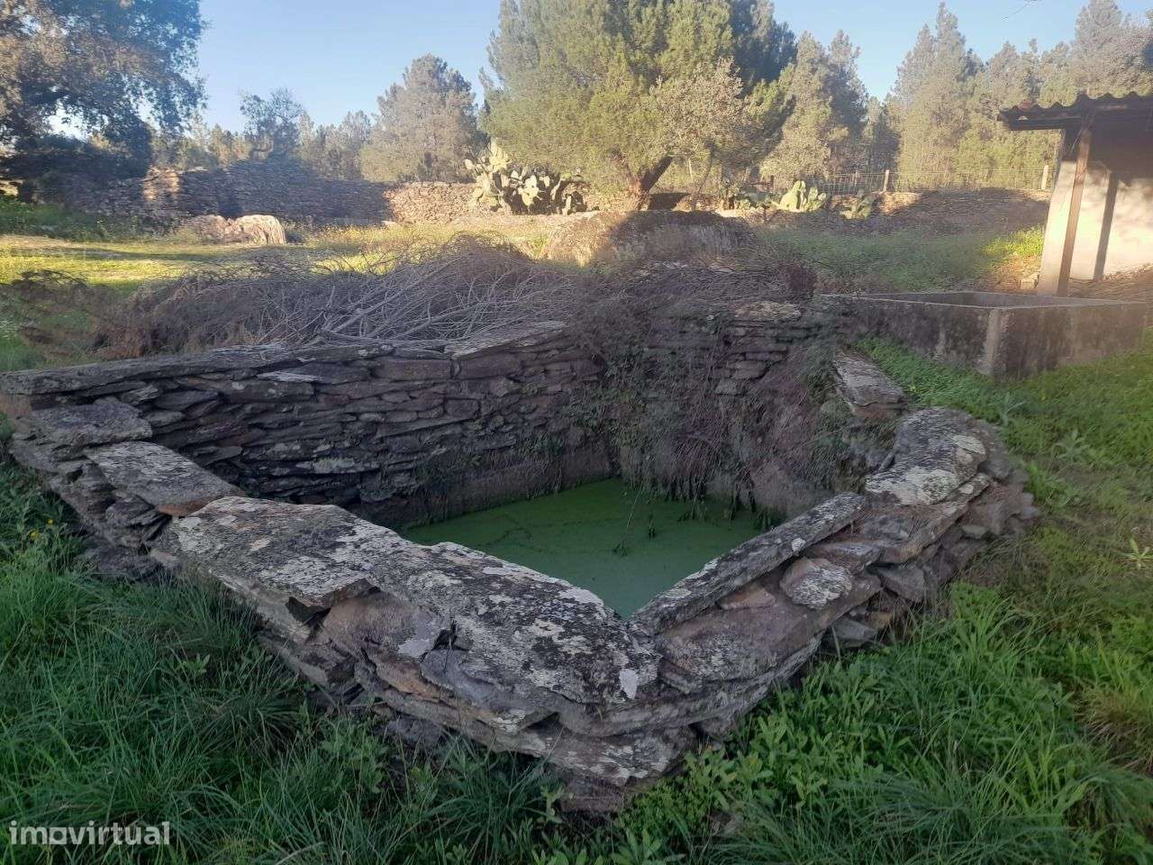 Quintinha - Grande imagem: 5/6