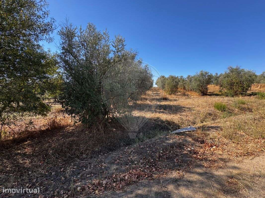 Terreno  para venda - Grande imagem: 5/6