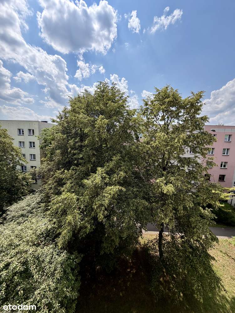 3 pokoje+ kuchnia+AGD | 60 m² | Balkon | Klimatyzacja | Prędocinek-15