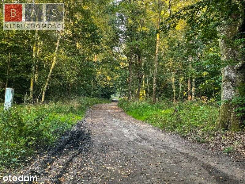 Działka z pozwoleniem na budowę w sąsiedztwie WPN - Pełny obrazek: 5/5