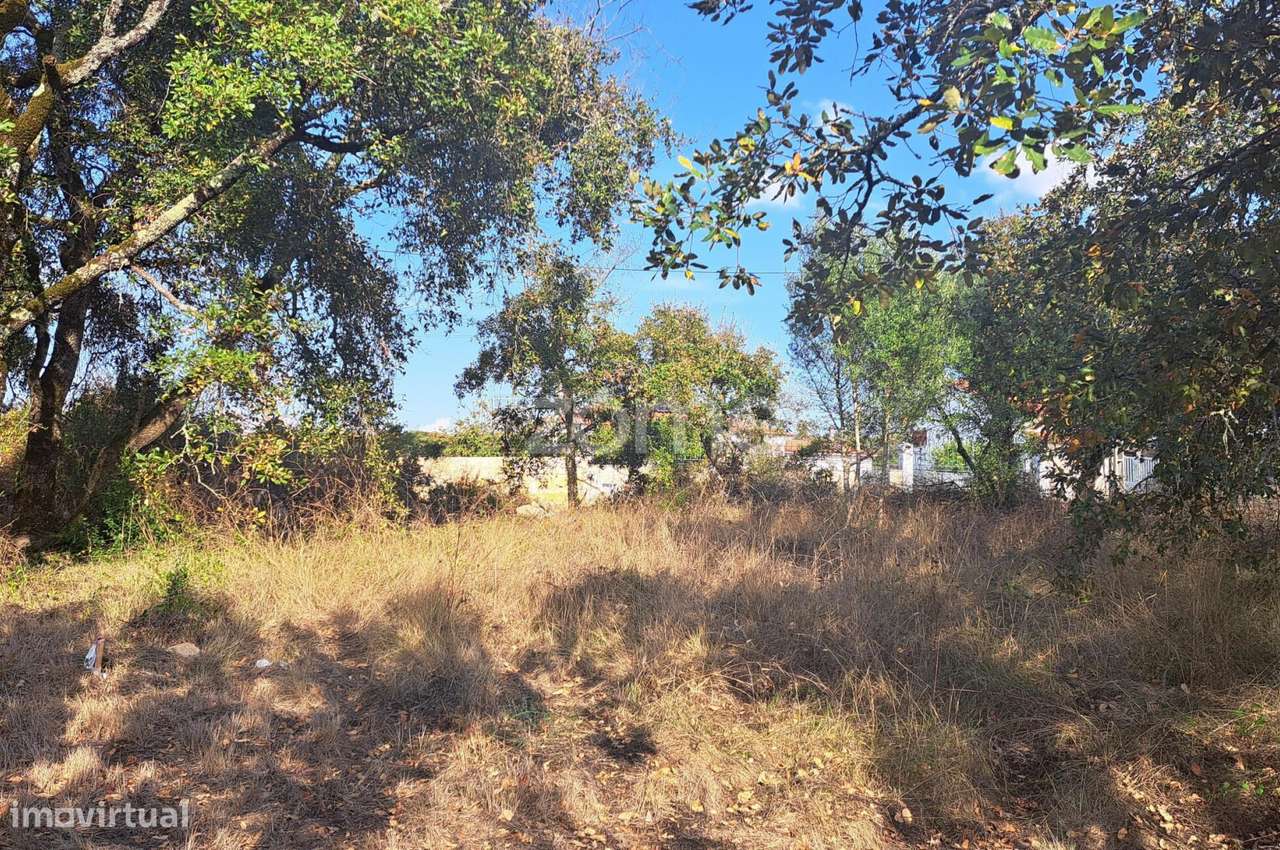 Terreno Urbanizável a 5 min. da Batalha - Grande imagem: 2/24