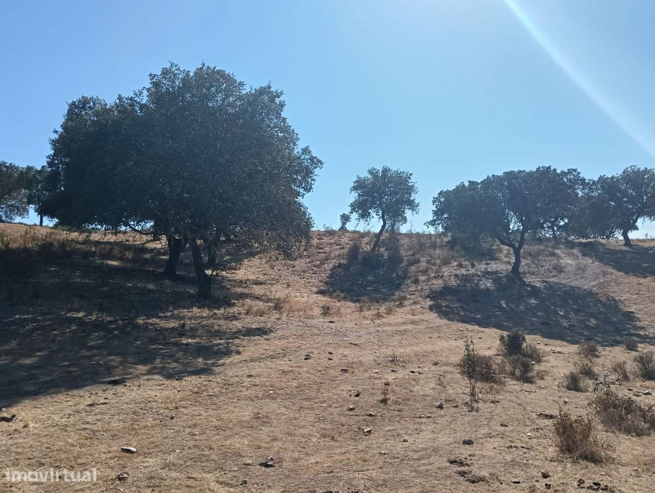 HERDADE | VENDA | ALENTEJO | SERPA - Grande imagem: 5/49