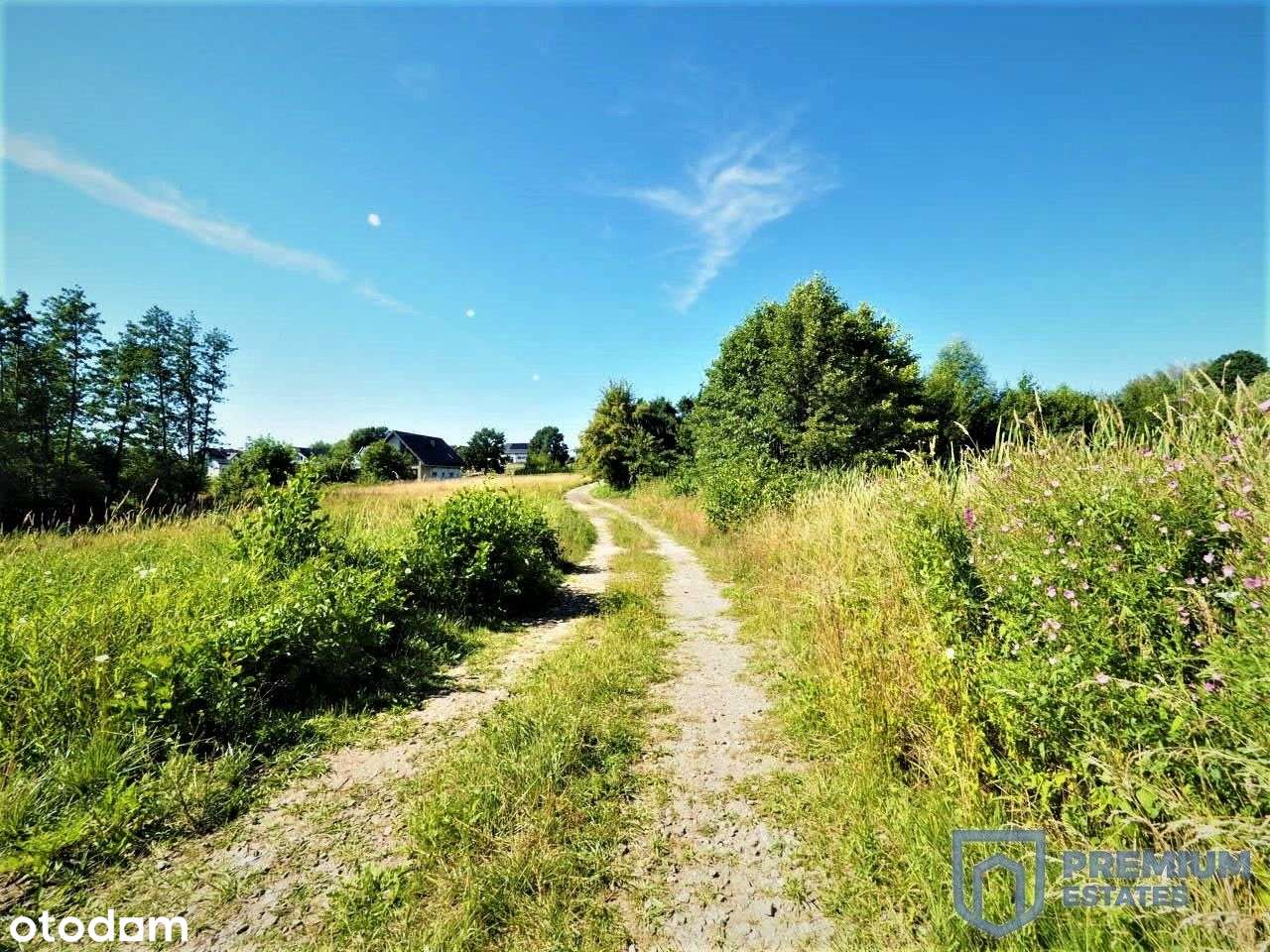 Działka inwestycyjna | 3 Projekty chłonności Pum-0