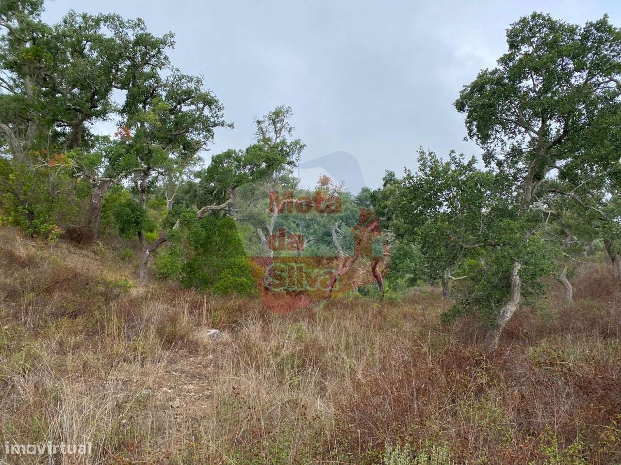 Terreno de 13.5ha em Santa Margarida da Serra - Grande imagem: 2/15