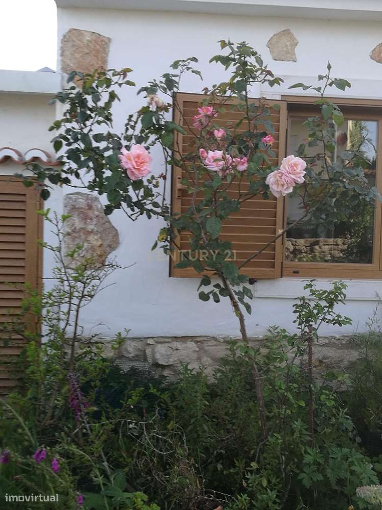 Moradia T2 Pronta a  Habitar com Jardim e Estufa - Grande imagem: 3/38