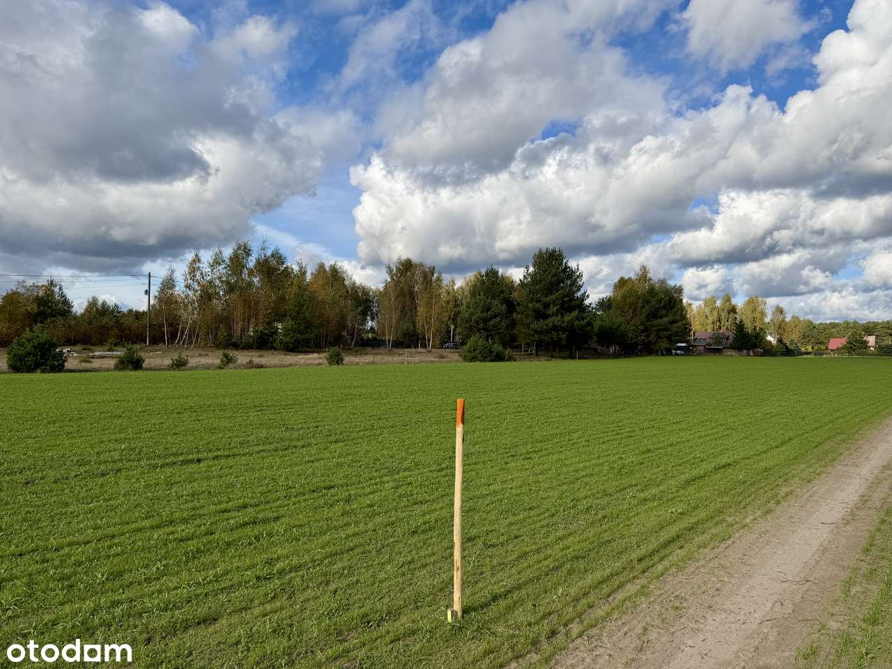 Działki przy jeziorze Lucieńskim i lesie państwowym-14