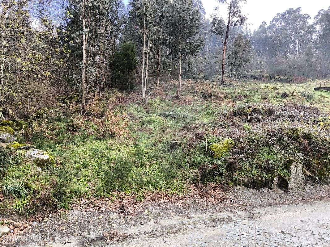 Terreno  para venda - Grande imagem: 4/11