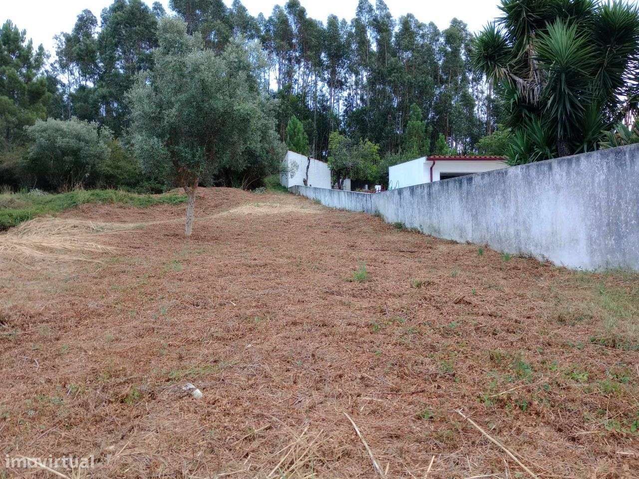 Terreno Urbano com viabilidade para construção em Torre de Vilela - Grande imagem: 2/8