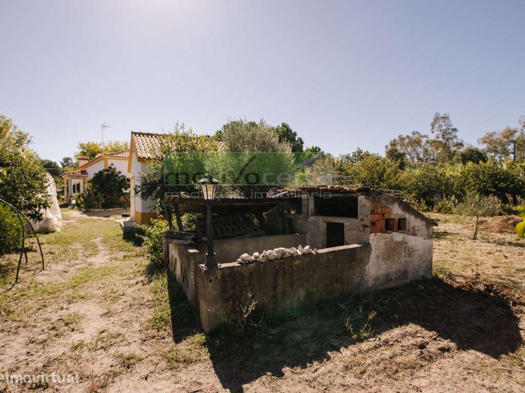 Moradia Térrea T4 em Quinta de 11.250 m² com Árvores de Fruto. Em S...-39