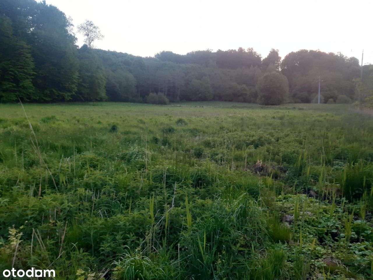 sprzedam działkę - Pełny obrazek: 5/7
