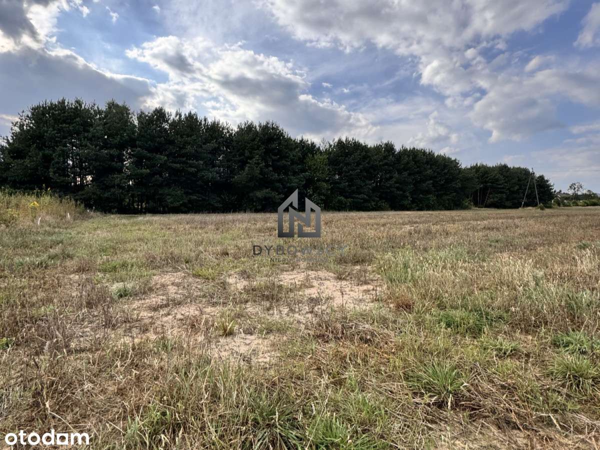 Działka budowlana 1300 m2 w Dębe Wielkie - Pełny obrazek: 4/6