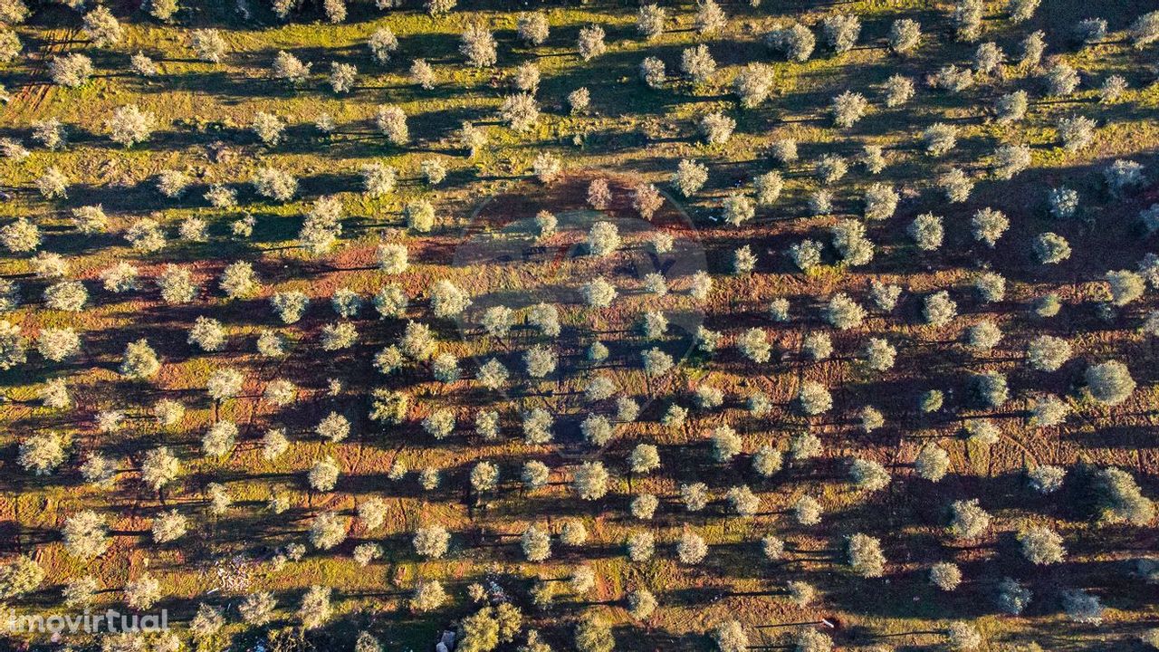 Terreno  para venda