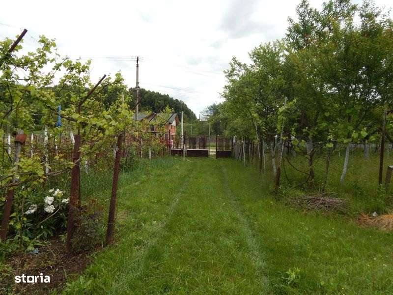 Casa bunicilor la tara - Imagine principală: 4/4