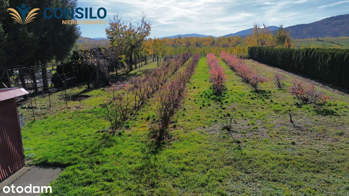 Dom bliźniak 239 m² działka 16,76 ar-11